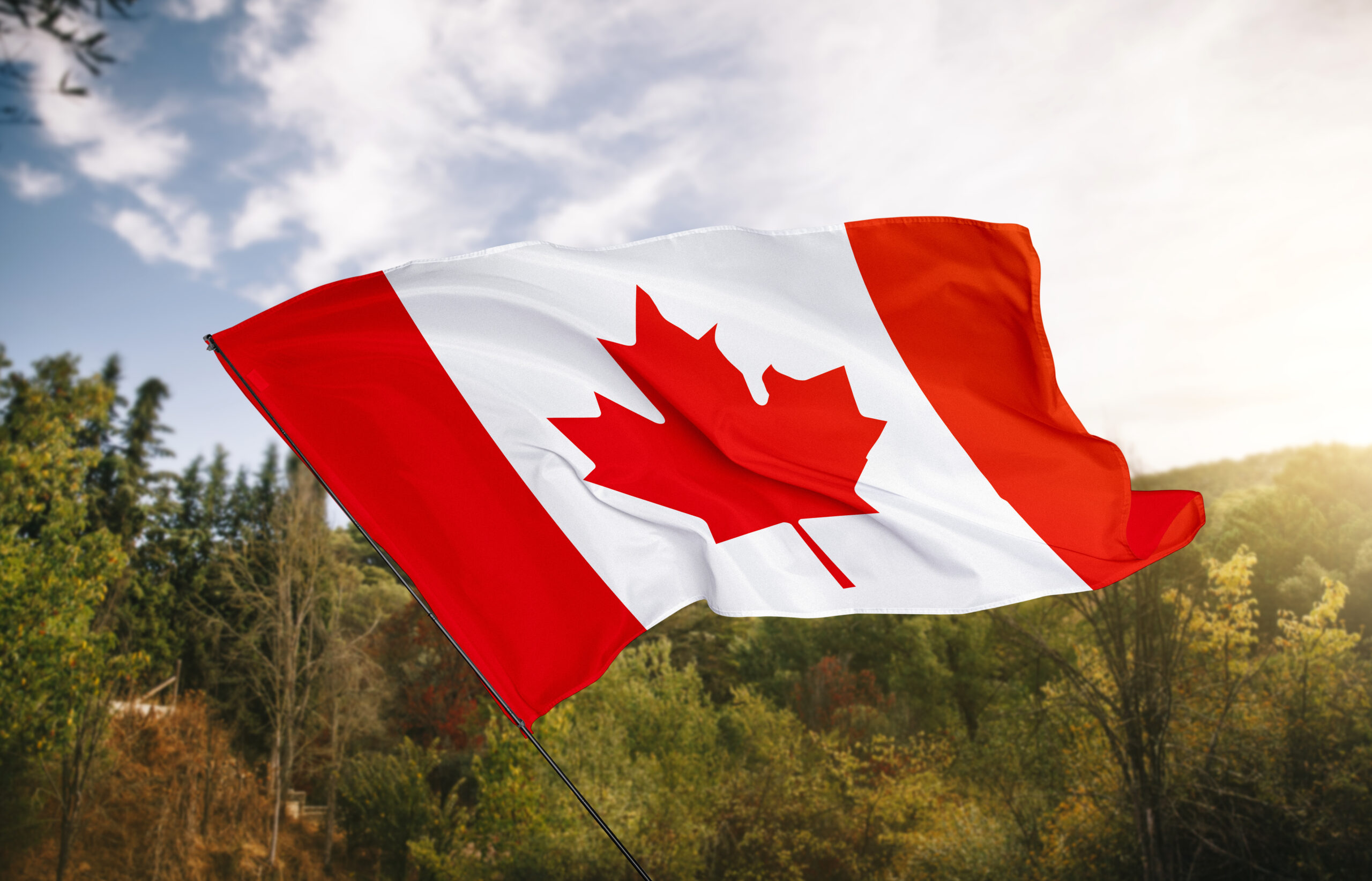 Permanent Resident in Canada