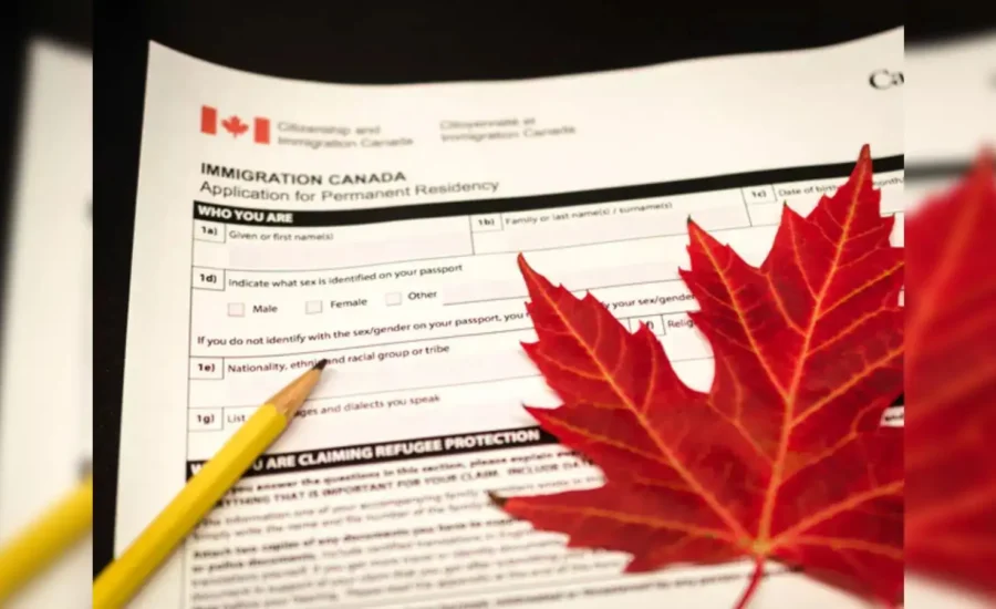 10 New OINP Draws Sent 3,719 Permanent Residency Invitations