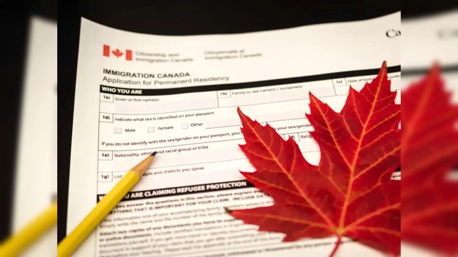 10 New OINP Draws Sent 3,719 Permanent Residency Invitations