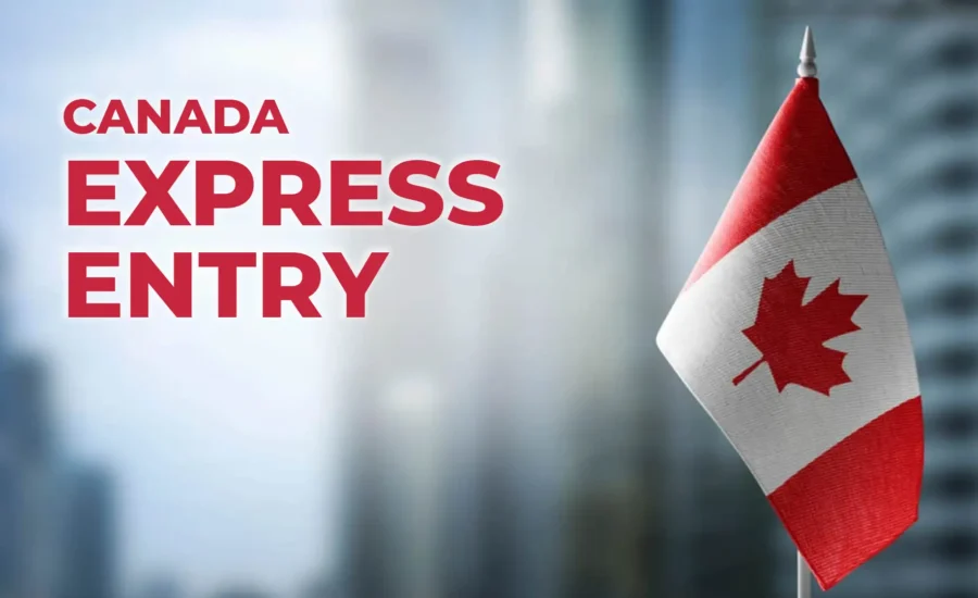 Latest Express Entry Draw on October 14 Issued 345 Invitations for Permanent Residency