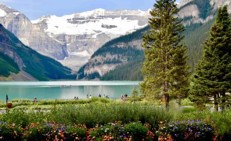 The latest Express Entry draw on January 20 issued 681 ITAs.