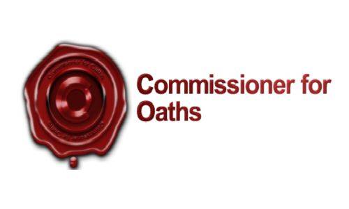 Untitled design - 2026-01-25T015005.998